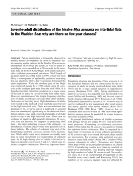 Juvenile-Adult Distribution of the Bivalve Mya Arenaria on Intertidal Flats in the Wadden Sea: Why Are There So Few Year Classes?