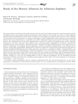 Study of the Murine Allantois by Allantoic Explants