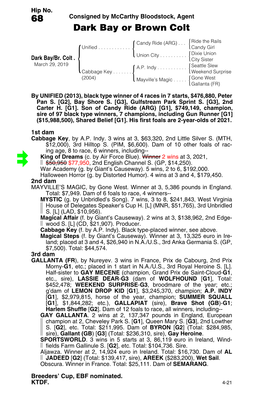 68 Consigned by Mccarthy Bloodstock, Agent Dark Bay Or Brown Colt