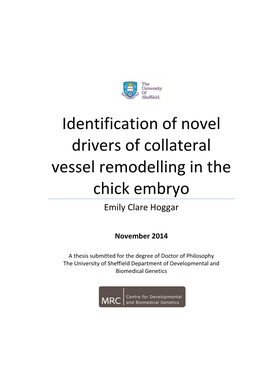 Identification of Novel Drivers of Collateral Vessel Remodelling in the Chick Embryo Emily Clare Hoggar