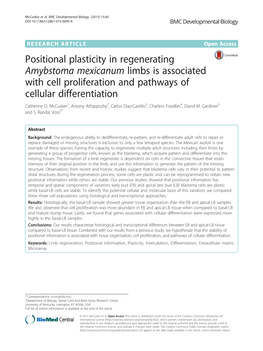 Positional Plasticity in Regenerating Amybstoma Mexicanum Limbs Is Associated with Cell Proliferation and Pathways of Cellular Differentiation Catherine D