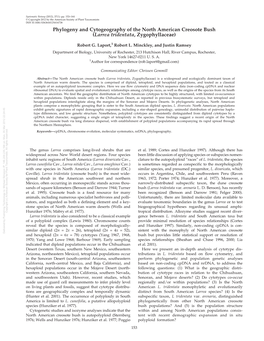 Phylogeny and Cytogeography of the North American Creosote Bush