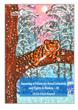 Securing a Future for Amur Leopards and Tigers in Russia