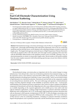 Fuel Cell Electrode Characterization Using Neutron Scattering