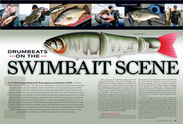 DRUMBEATS >>> on the > > > SWIMBAIT SCENE Other Categories of Swimbaits Included Internally of Lure Styles and Uses for Them