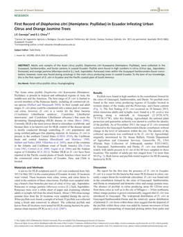 First Record of Diaphorina Citri (Hemiptera: Psyllidae) in Ecuador Infesting Urban Citrus and Orange Jasmine Trees J.F