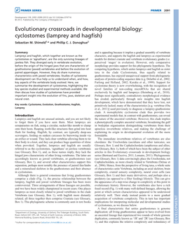Evolutionary Crossroads in Developmental Biology: Cyclostomes (Lamprey and Hagfish) Sebastian M