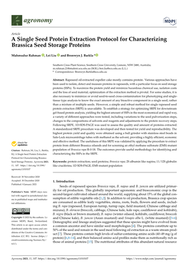 A Single Seed Protein Extraction Protocol for Characterizing Brassica Seed Storage Proteins