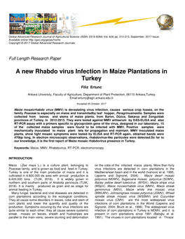 A New Rhabdo Virus Infection in Maize Plantations in Turkey