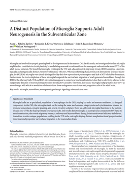 A Distinct Population of Microglia Supports Adult Neurogenesis in the Subventricular Zone