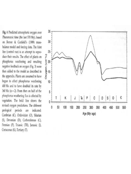 What Were the Constraints on the Earliest Photolithotrophs on Land? Implicit Comparison with Marine/Freshwater Biota