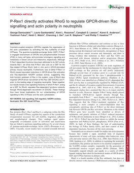 P-Rex1 Directly Activates Rhog to Regulate GPCR-Driven Rac Signalling and Actin Polarity in Neutrophils