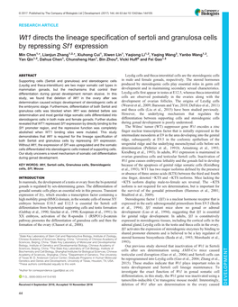 Wt1 Directs the Lineage Specification of Sertoli and Granulosa Cells By