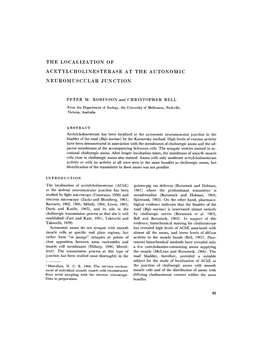 The Localization of Acetylcholinesterase At