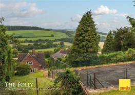 The Folly Stourpaine, Blandford Forum, Dorset the Folly 5 Shaston Road • Stourpaine • Blandford Forum • Dorset • DT11 8TA