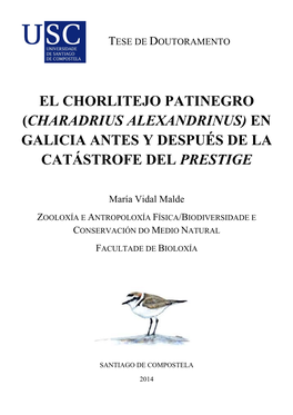 El Chorlitejo Patinegro (Charadrius Alexandrinus) En Galicia Antes Y Después De La Catástrofe Del Prestige