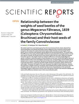 Relationship Between the Weights of Seed Beetles of the Genus