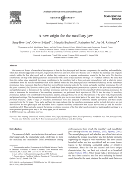 A New Origin for the Maxillary Jaw