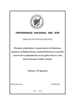 Universidad Nacional Del Sur