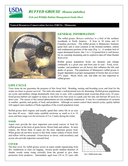 GENERAL INFORMATION LIFE CYCLE RUFFED GROUSE (Bonasa Umbellus)