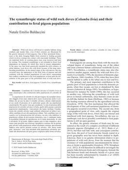 The Synanthropic Status of Wild Rock Doves (Columba Livia) and Their Contribution to Feral Pigeon Populations