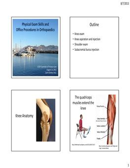 Outline Knee Anatomy