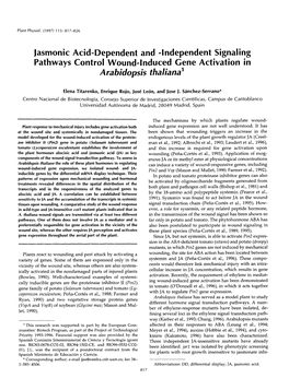 Jasmonic Acid-Dependent and Hdependent Signaling Pathways Control Wound-Induced Gene Activation in Arabidopsis Fhaliana’