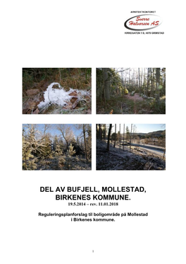 DEL AV BUFJELL, MOLLESTAD, BIRKENES KOMMUNE. 19.5.2014 – Rev