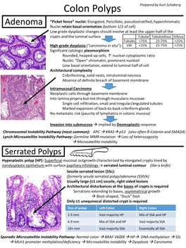 Colon Polyps Prepared by Kurt Schaberg