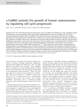 A-Camkii Controls the Growth of Human Osteosarcoma by Regulating Cell Cycle Progression Kaiyu Yuan1, Leland WK Chung2, Gene P Siegal3 and Majd Zayzafoon1