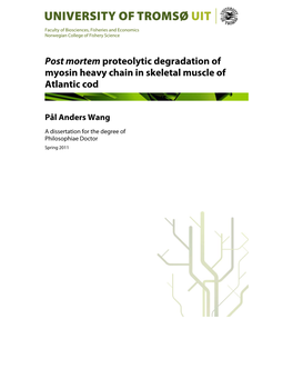 Post Mortem Proteolytic Degradation of Myosin Heavy Chain in Skeletal Muscle of Atlantic Cod