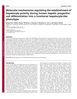 Molecular Mechanisms Regulating the Establishment of Hepatocyte Polarity