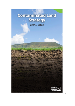 Item 12 Contaminated Land Strategy 2015