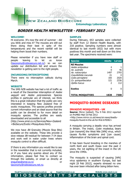 NZB Newsletter