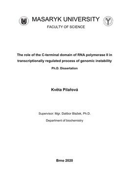 Structural and Functional Analysis of the Cdk13/Cyclin K Complex