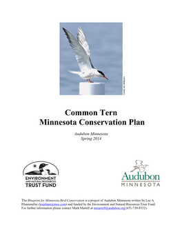 Common Tern Minnesota Conservation Plan