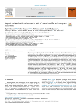 Organic Carbon Burial and Sources in Soils of Coastal Mudflat And