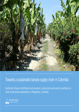 Towards a Sustainable Banana Supply Chain in Colombia