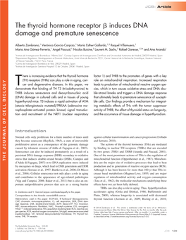 The Thyroid Hormone Receptor Induces DNA Damage