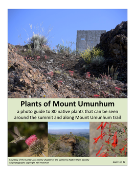 Plants of Mount Umunhum a Photo Guide to 80 Na�Ve Plants That Can Be Seen Around the Summit and Along Mount Umunhum Trail