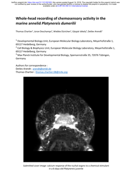 Whole-Head Recording of Chemosensory Activity in the Marine Annelid Platynereis Dumerilii