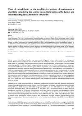 Effect of Tunnel Depth on the Amplification Pattern Of