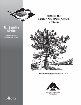 Status of the Limber Pine (Pinus Flexilis)