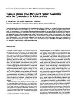 Tobacco Mosaic Virus Movement Protein Associates with the Cytoskeleton in Tobacco Cells