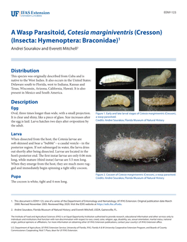 A Wasp Parasitoid, Cotesia Marginiventris (Cresson) (Insecta: Hymenoptera: Braconidae)1 Andrei Sourakov and Everett Mitchell2