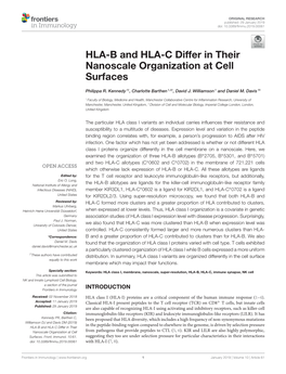 HLA-B and HLA-C Differ in Their Nanoscale Organization at Cell Surfaces