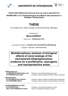 Multidisciplinary Analysis of Biological Effects of Novel Analogs of The