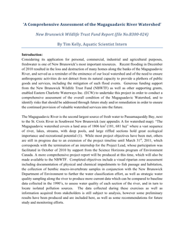 A Comprehensive Assessment of the Magaguadavic River Watershed’