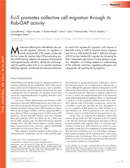 Evi5 Promotes Collective Cell Migration Through Its Rab-GAP Activity