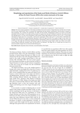 Morphology and Reproduction of the Snake-Eyed Skink (Ablepharus Kitaibelii Bibron & Bory De Saint-Vincent, 1833) in the Western Most Parts of Its Range